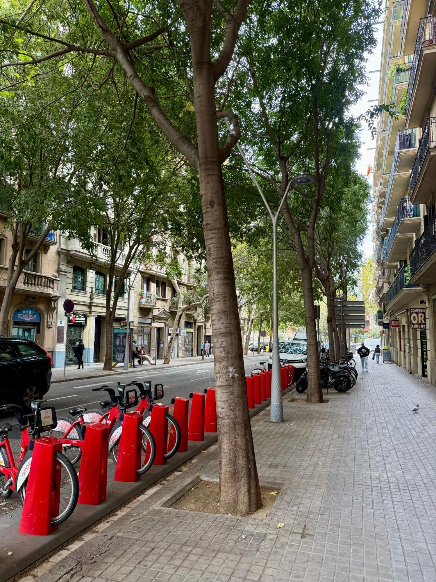 Comfort Eixample Appartement Barcelone
